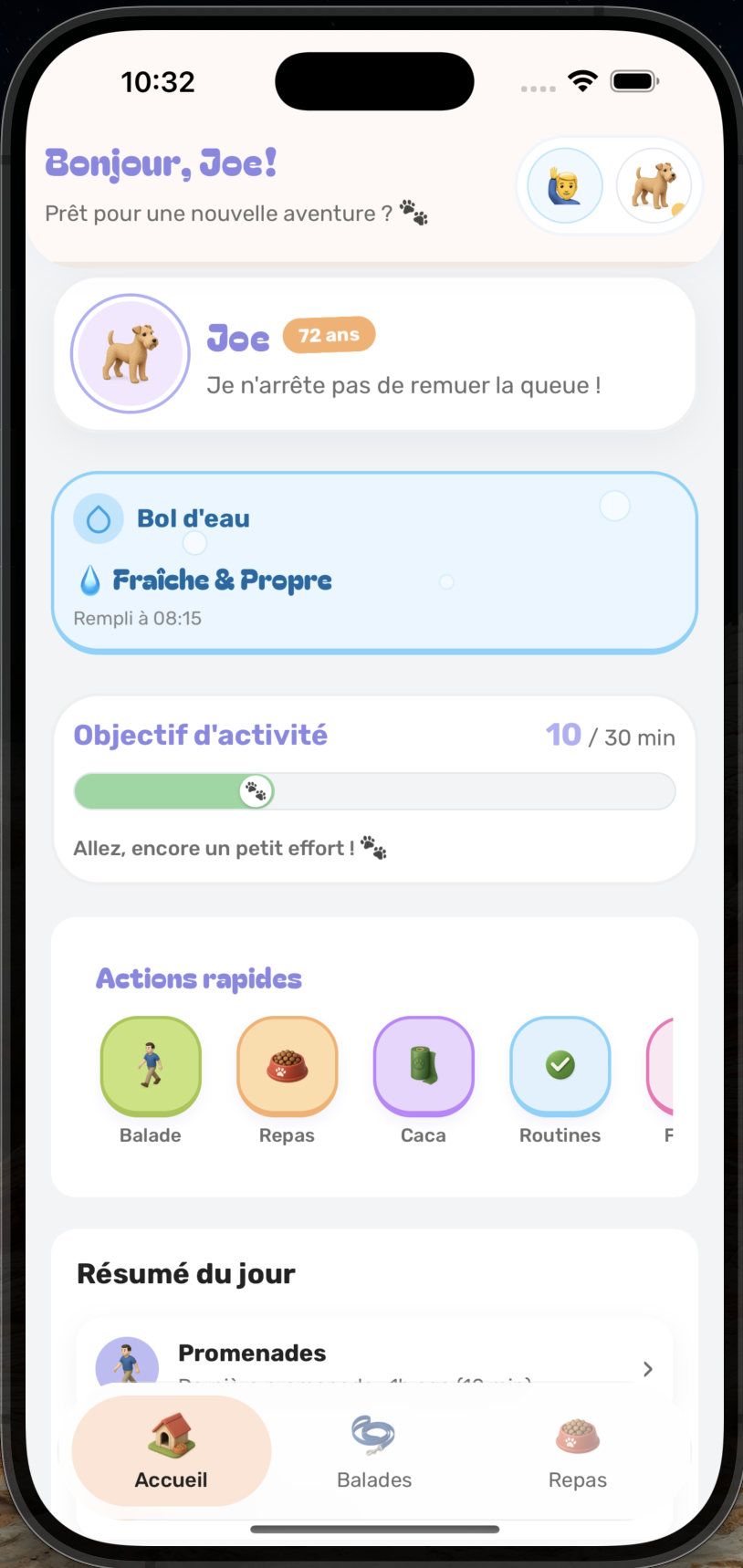 Interface de l'application ToutouStory
